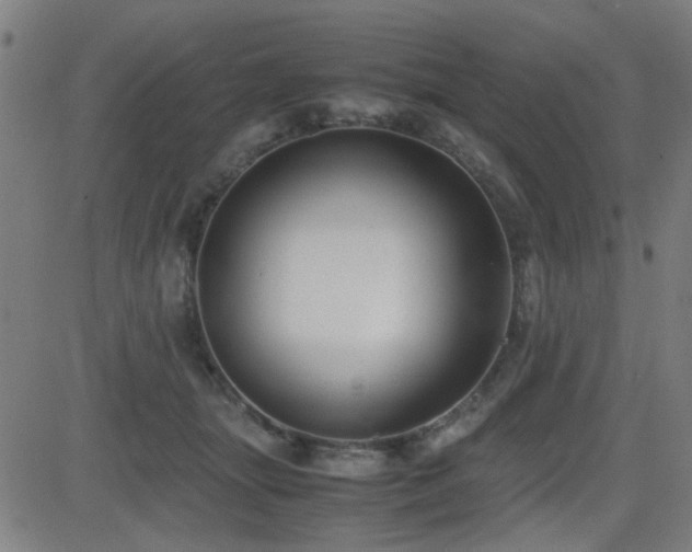 X0000083010463200702021054