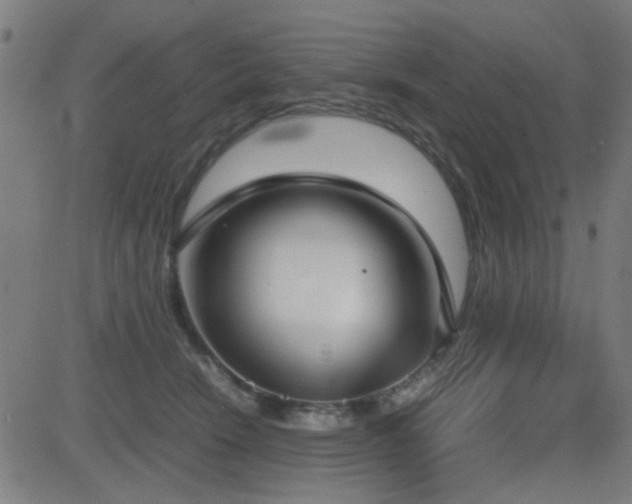 X0000083010466200702021054