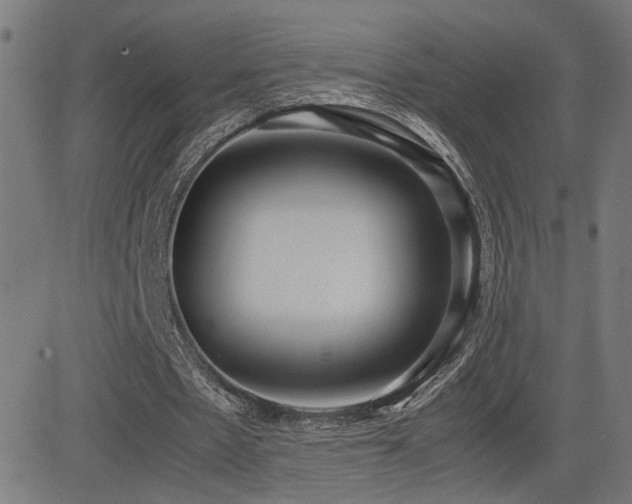 X0000083010481200702021053