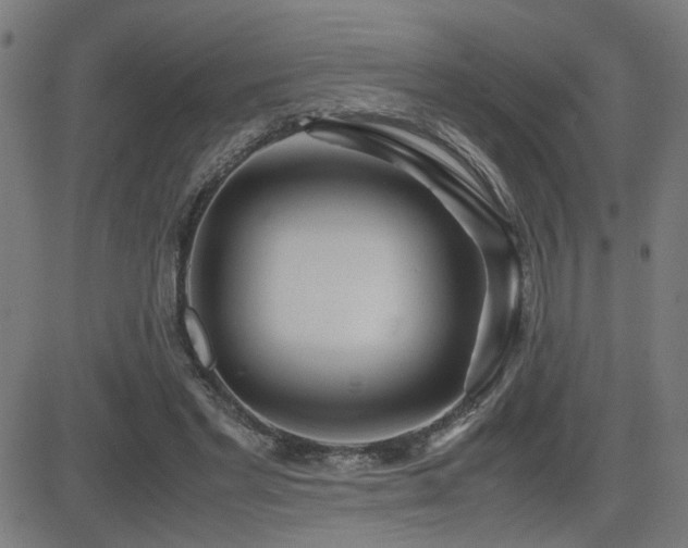 X0000083010493200702021053