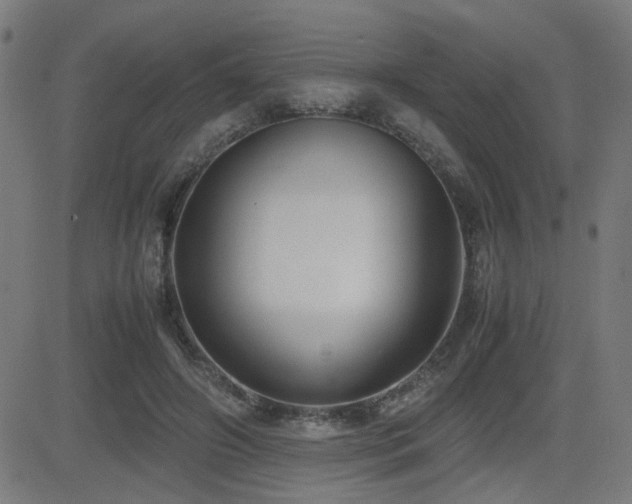 X0000083010498200702021053
