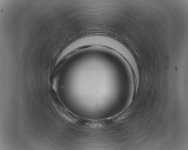 X0000083010512200702021053