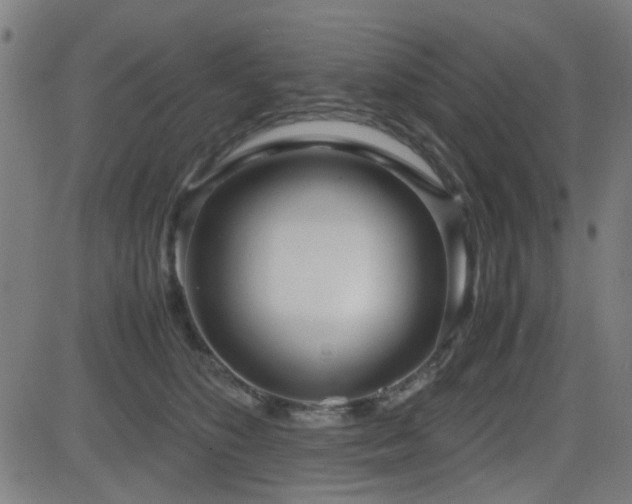 X0000083010516200702021053