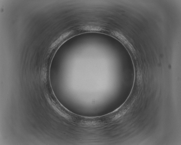 X0000083010533200702021052