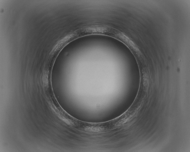 X0000083010537200702021052