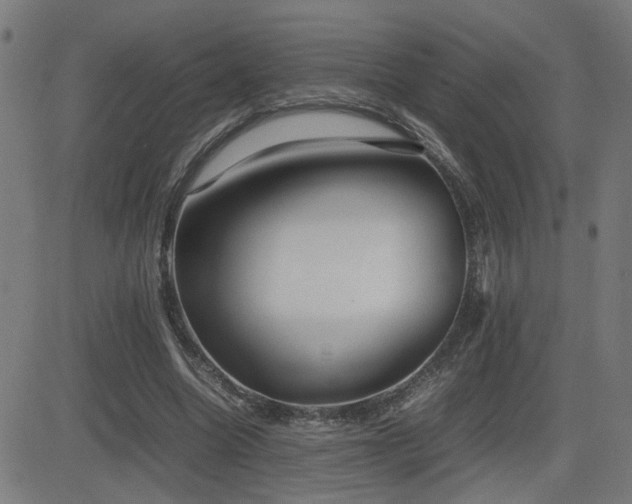 X0000083010538200702021052