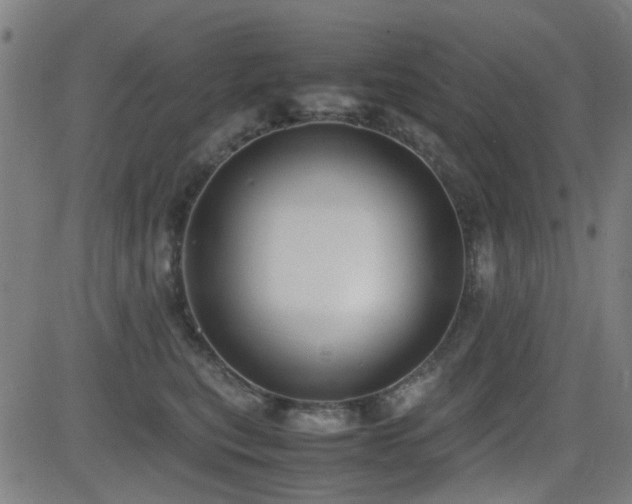 X0000083010567200702021052
