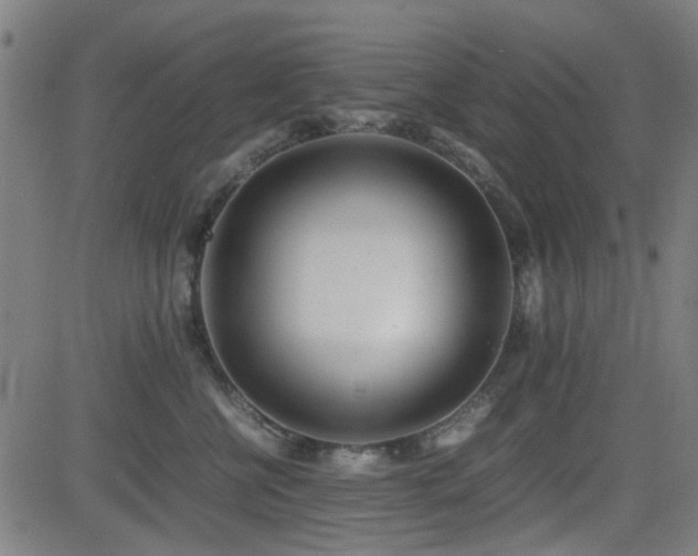 X0000083010570200702021052
