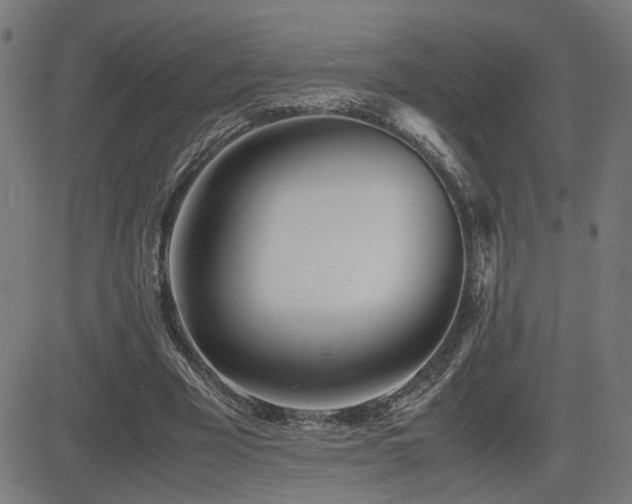X0000083010585200702021052
