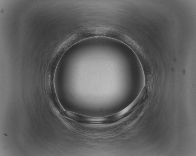 X0000083010589200702021051