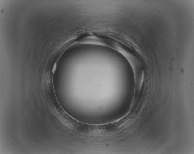 X0000083010593200702021051