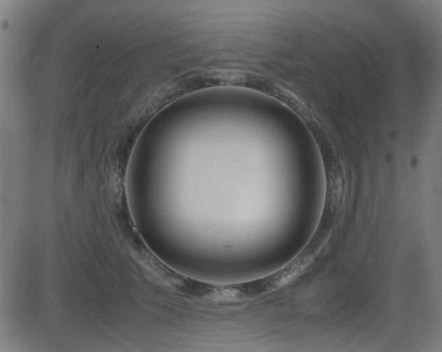 X0000083010609200702021051