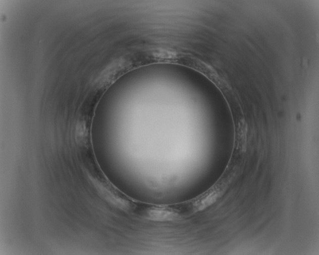 X0000083010614200702021051