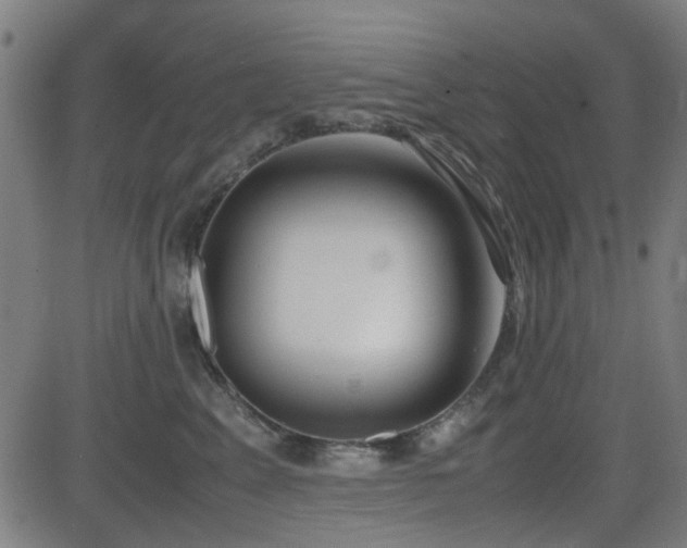 X0000083010617200702021051