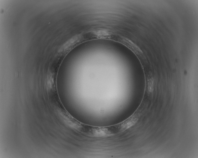 X0000083010618200702021051