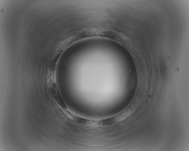 X0000083010624200702021051