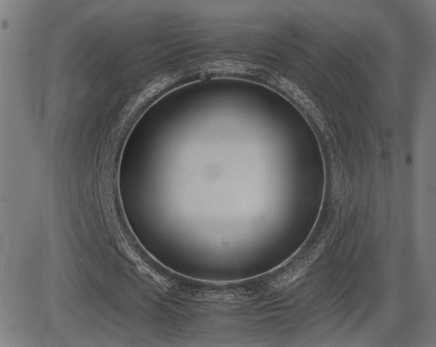 X0000083010625200702021050