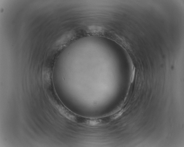 X0000083010662200702021051