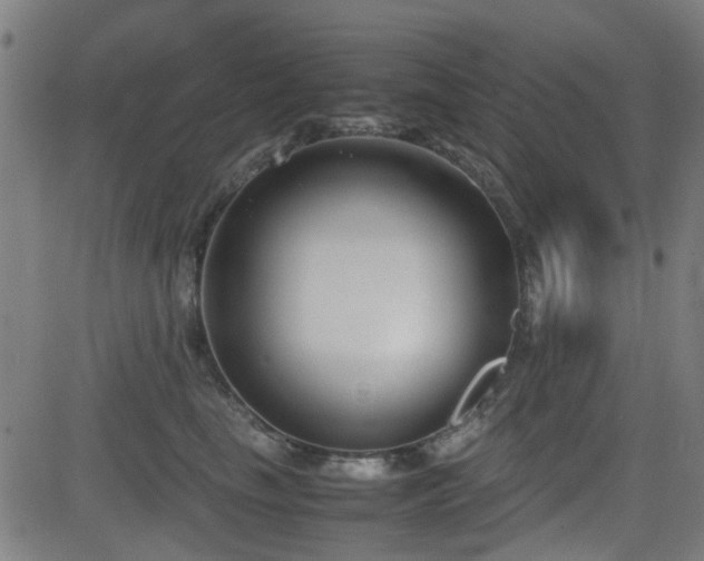 X0000083010665200702021051