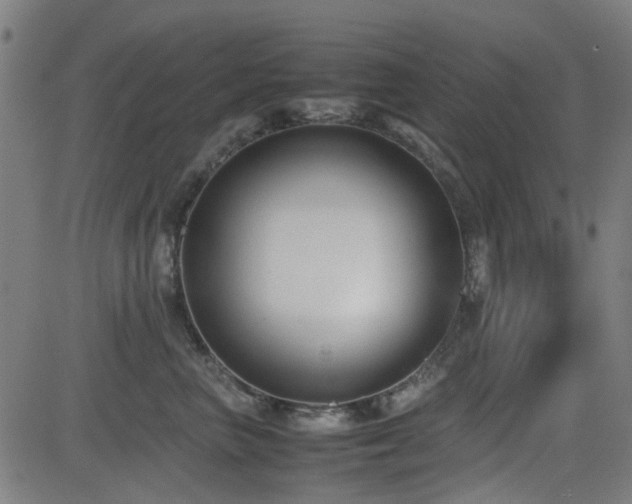 X0000083010667200702021051