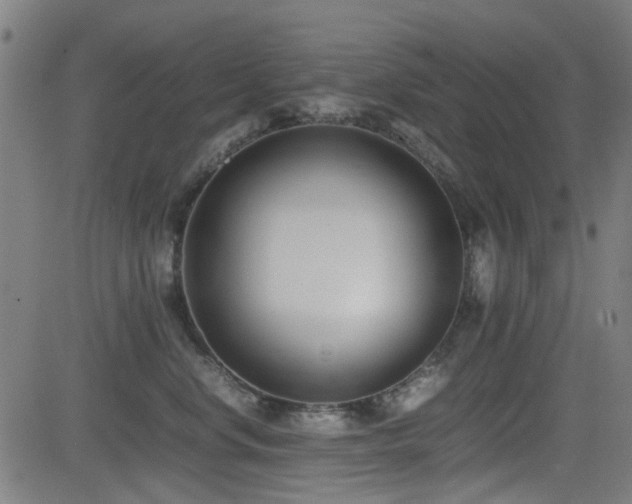 X0000083010668200702021051