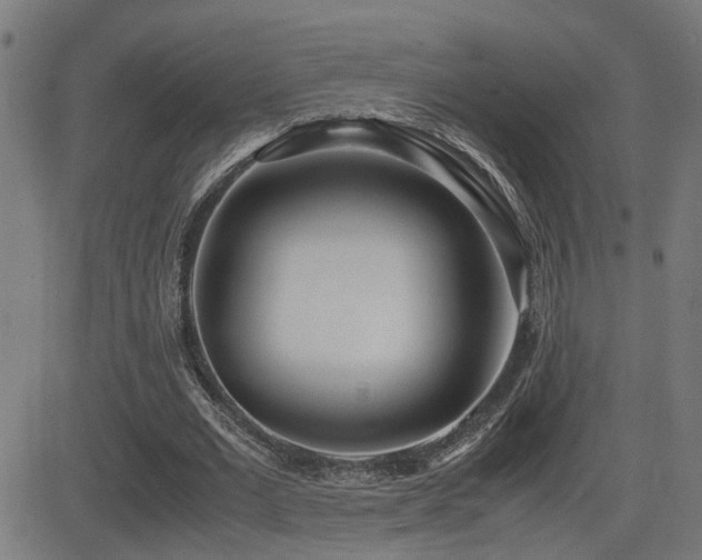 X0000083010677200702021050