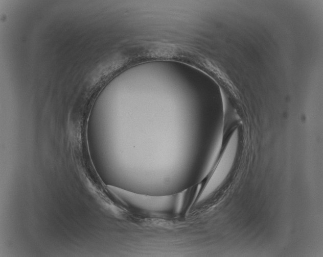 X0000083010681200702021050