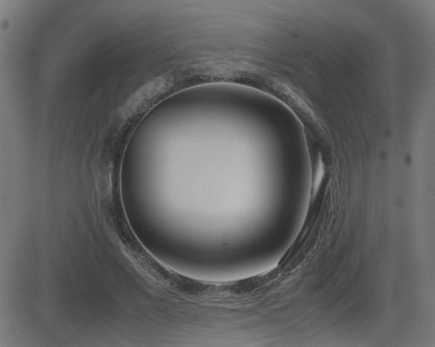X0000083010685200702021050