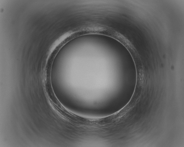 X0000083010726200702021049