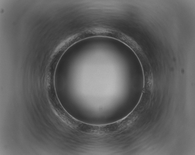 X0000083010732200702021049