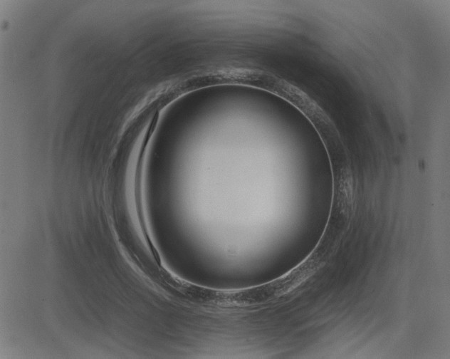 X0000083010734200702021049