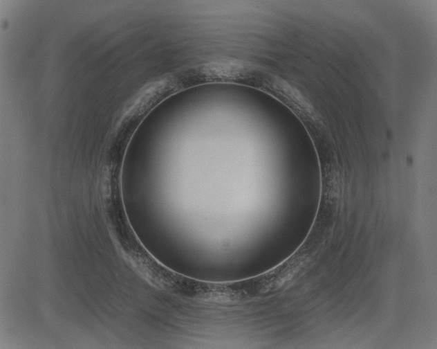 X0000083010738200702021049