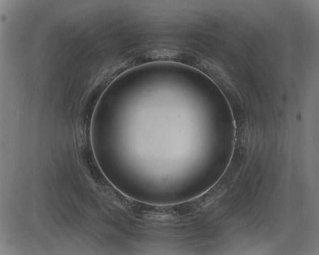 X0000083010743200702021049