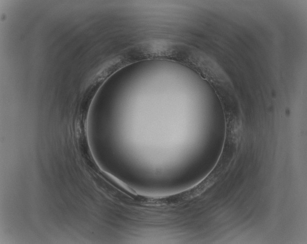 X0000083010746200702021049