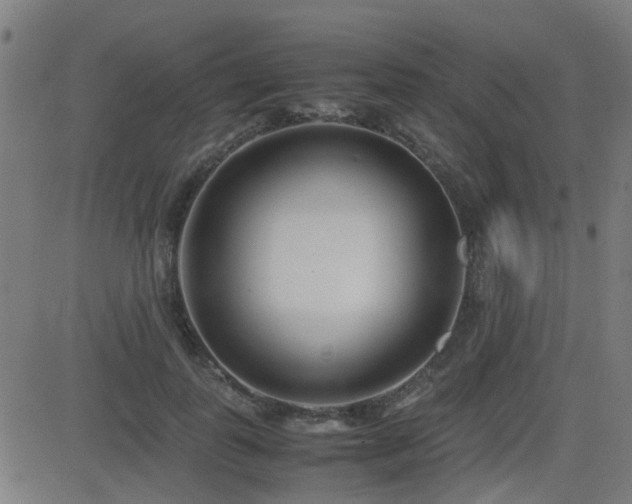 X0000083010747200702021049