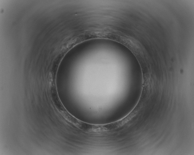 X0000083010752200702021049