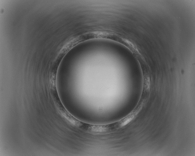 X0000083010766200702021049