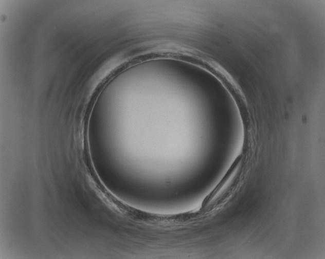 X0000083010791200702021048
