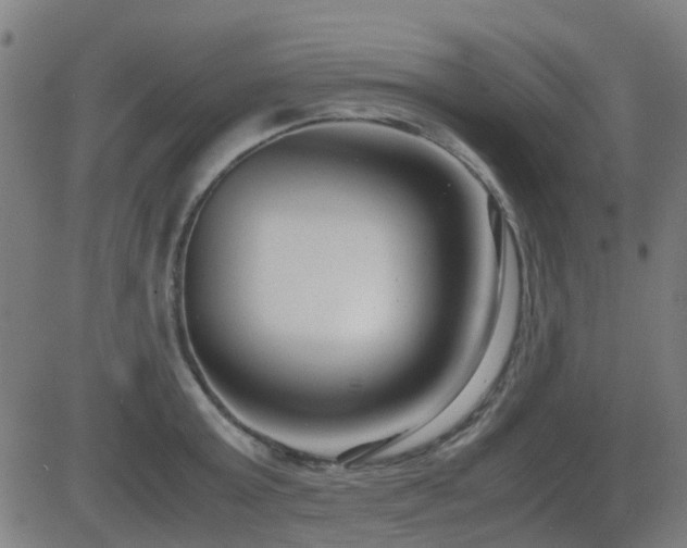 X0000083010803200702021048