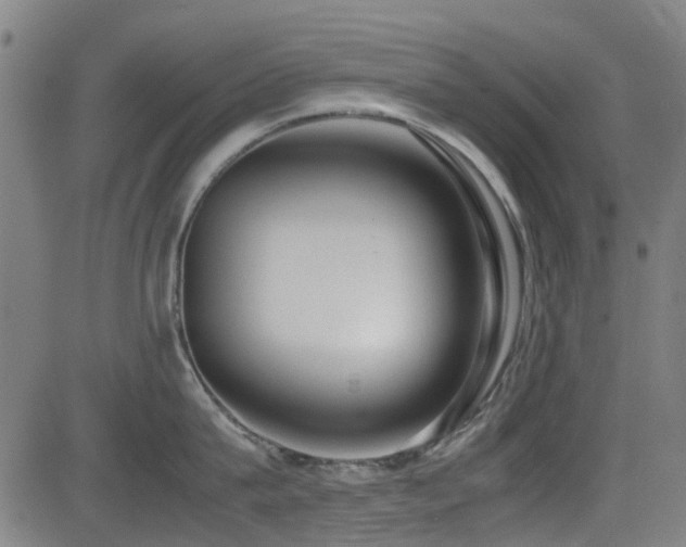 X0000083010815200702021048