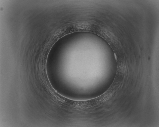 X0000083010817200702021047
