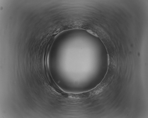 X0000083010818200702021047