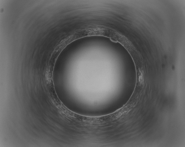 X0000083010819200702021047