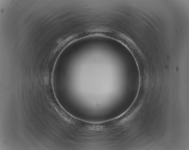 X0000083010833200702021047