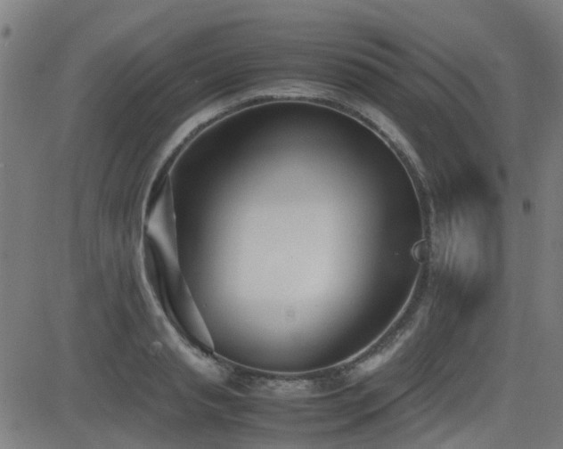 X0000083010845200702021047
