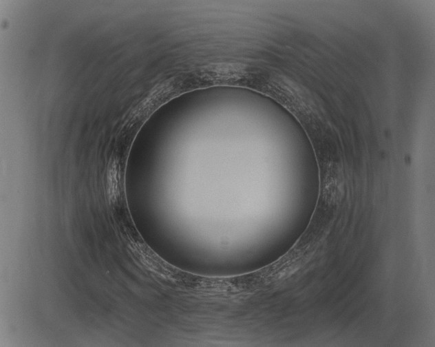 X0000083010866200702021047