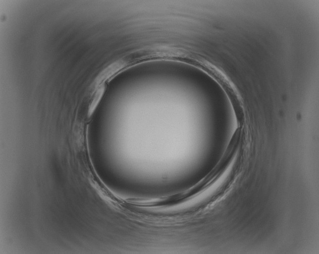 X0000083010889200702021047
