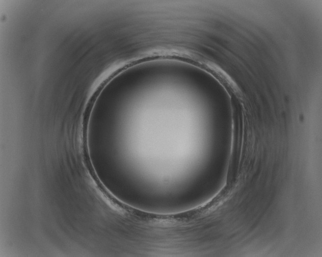 X0000083010894200702021046