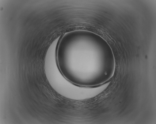X0000083010916200702021045