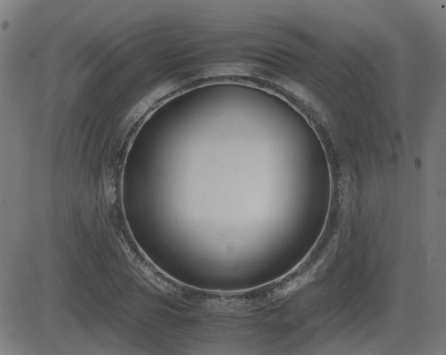 X0000083010929200702021046